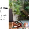 CHUỘT KHÔNG DÂY LOGITECH LIFT VERTICAL ERGONOMIC GRAPHITE (910-006479) (USB/BLUETOOTH) bảo hành chính hãng 12 tháng 21 chuot khong day logitech lift vertical ergonomic graphite 910 006479 03