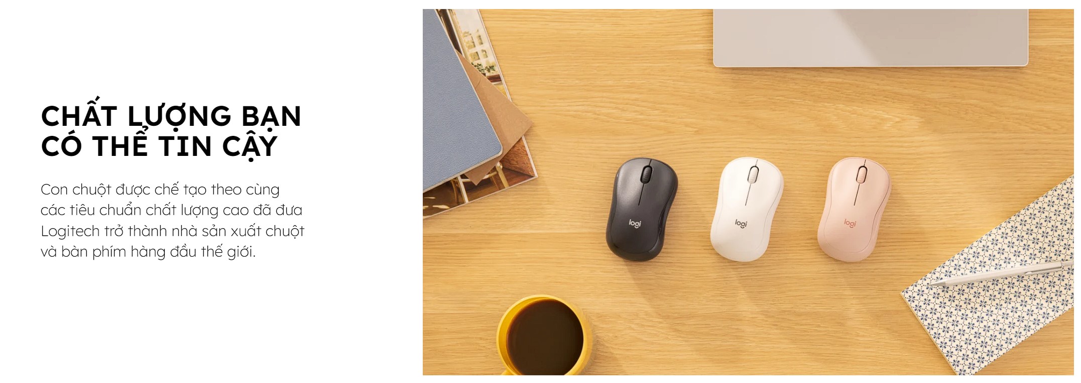 CHUỘT KHÔNG DÂY LOGITECH M240 SILENT GRAPHITE 910-007122 (BLUETOOTH + WIRELESS LOGI BOLT) bảo hành chính hãng 12 tháng 8 CHUỘT KHÔNG DÂY LOGITECH M240 SILENT GRAPHITE 910-007122 (BLUETOOTH + WIRELESS LOGI BOLT) bảo hành chính hãng 12 tháng - Ảnh 8
